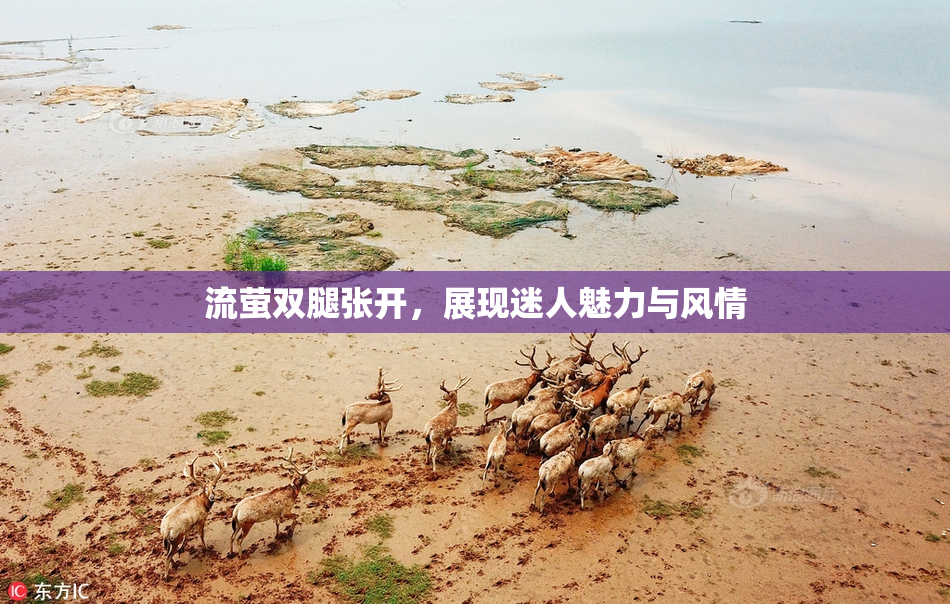 流萤双腿张开，展现迷人魅力与风情