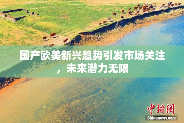 国产欧美新兴趋势引发市场关注，未来潜力无限