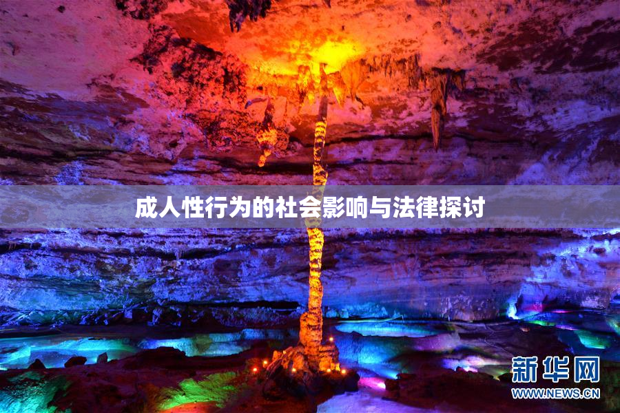 成人性行为的社会影响与法律探讨
