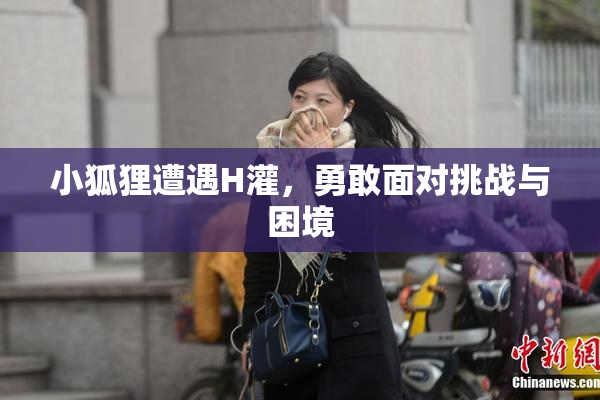 小狐狸遭遇H灌，勇敢面对挑战与困境