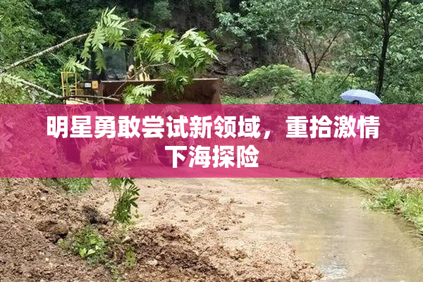 明星勇敢尝试新领域，重拾激情下海探险