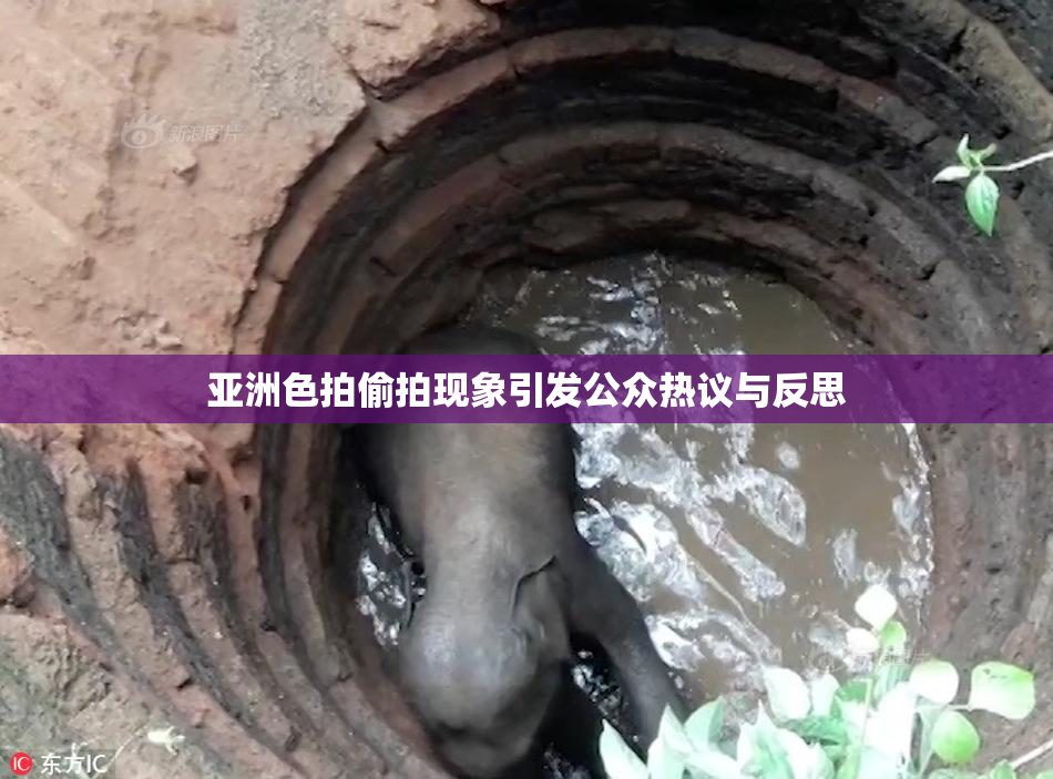 亚洲色拍偷拍现象引发公众热议与反思