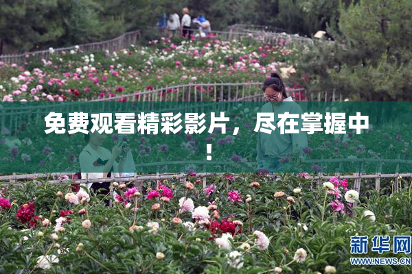 免费观看精彩影片，尽在掌握中！