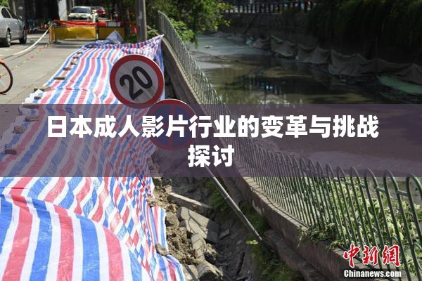 日本成人影片行业的变革与挑战探讨