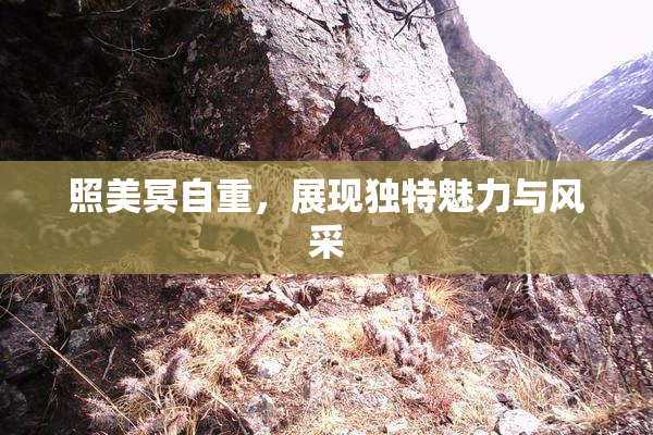 照美冥自重，展现独特魅力与风采