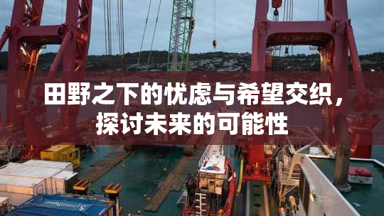 田野之下的忧虑与希望交织，探讨未来的可能性