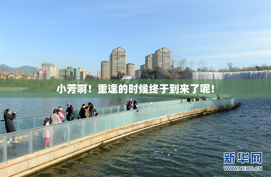 小芳啊！重逢的时候终于到来了呢！