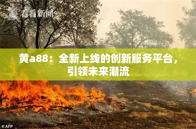 黄a88：全新上线的创新服务平台，引领未来潮流