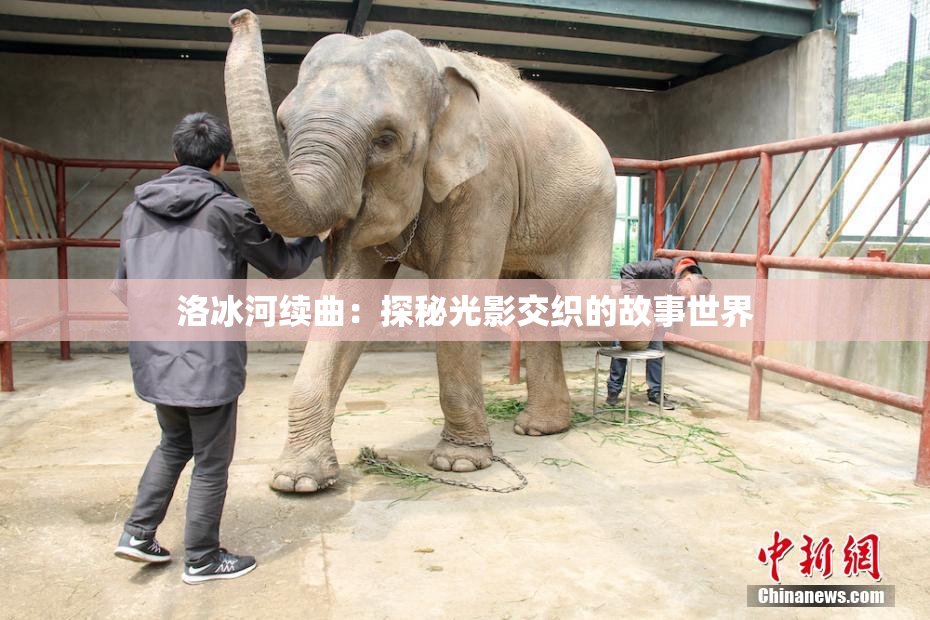 洛冰河续曲：探秘光影交织的故事世界