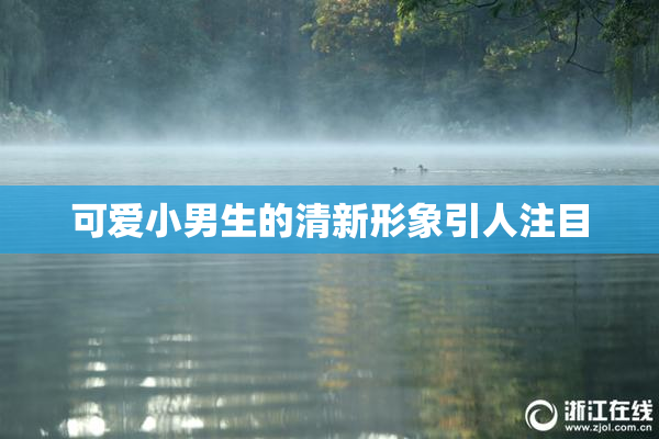 可爱小男生的清新形象引人注目