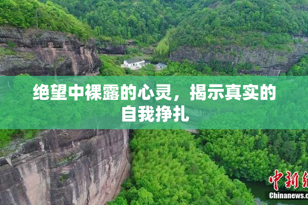 绝望中裸露的心灵，揭示真实的自我挣扎