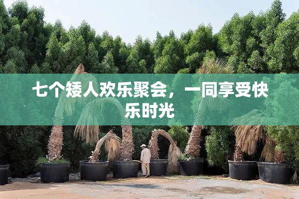 七个矮人欢乐聚会，一同享受快乐时光