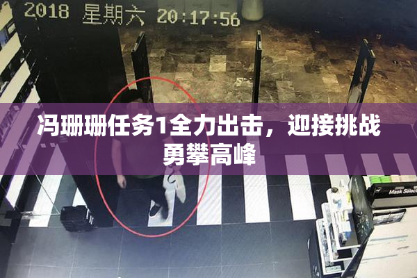 冯珊珊任务1全力出击，迎接挑战勇攀高峰