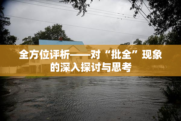 全方位评析——对“批全”现象的深入探讨与思考