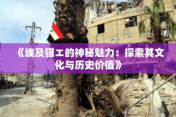《埃及猫エ的神秘魅力：探索其文化与历史价值》