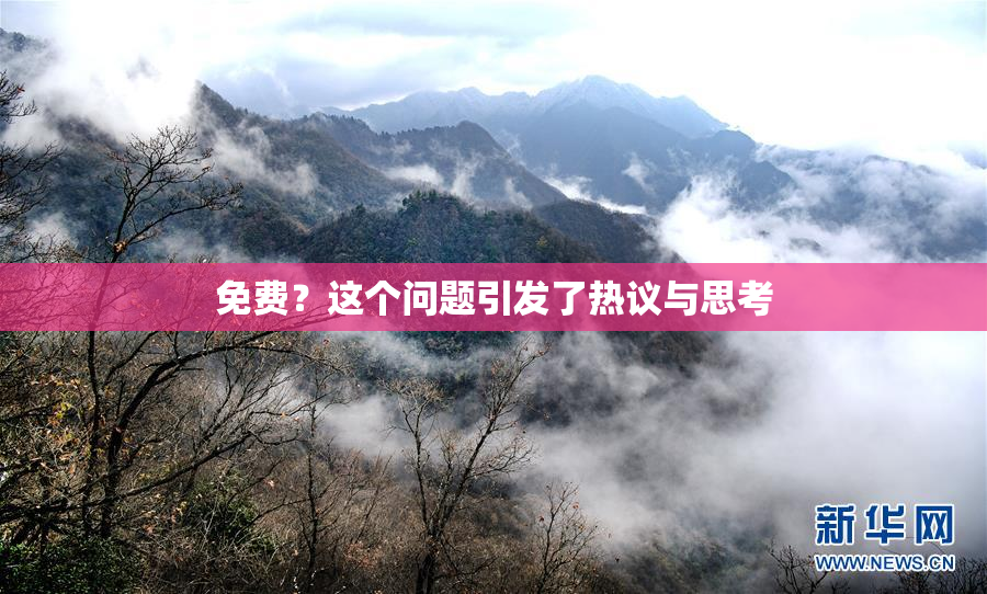 免费？这个问题引发了热议与思考
