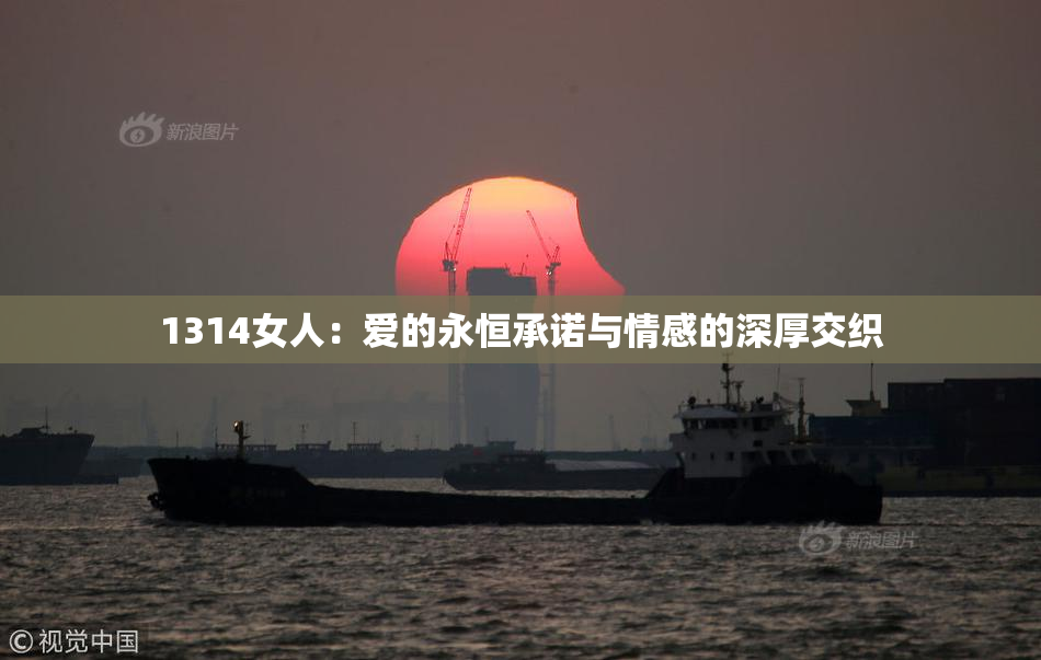 1314女人：爱的永恒承诺与情感的深厚交织