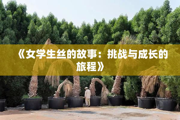 《女学生丝的故事：挑战与成长的旅程》