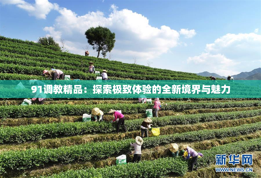 91调教精品：探索极致体验的全新境界与魅力