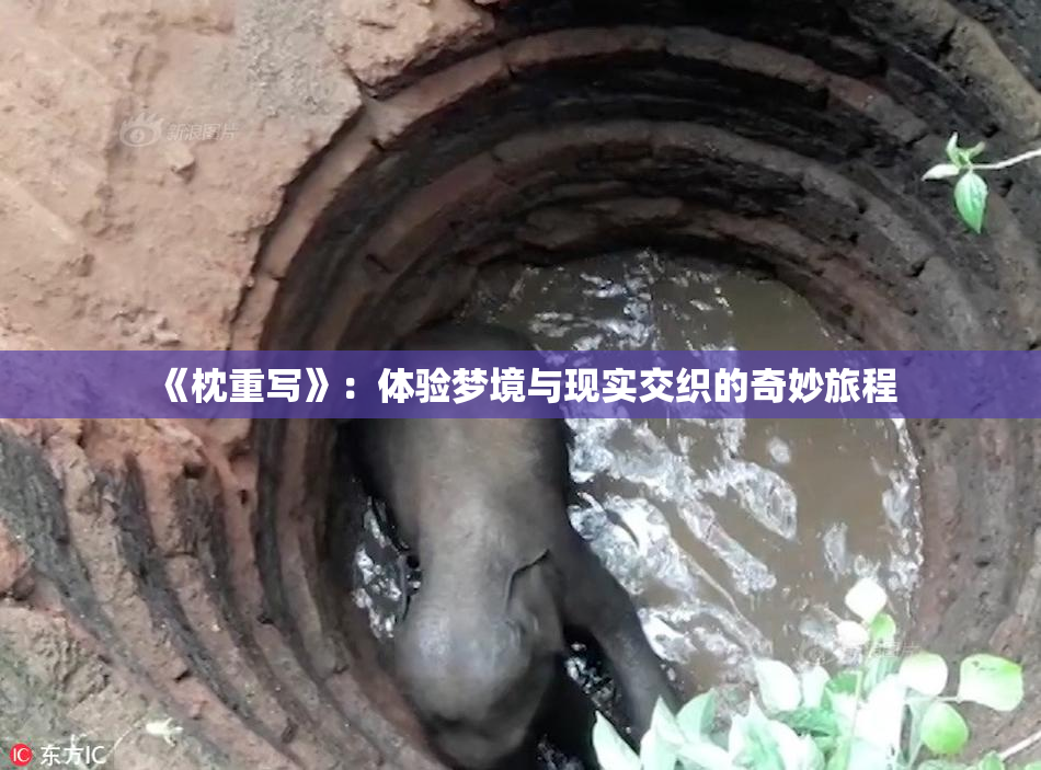 《枕重写》：体验梦境与现实交织的奇妙旅程