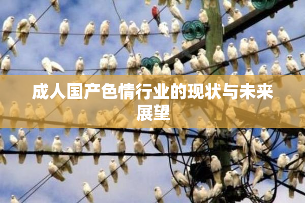 成人国产色情行业的现状与未来展望