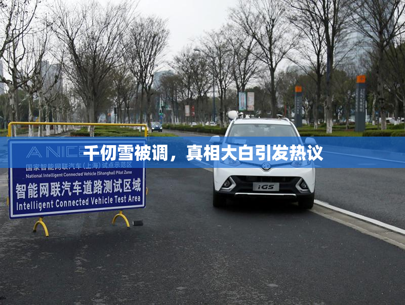 千仞雪被调，真相大白引发热议