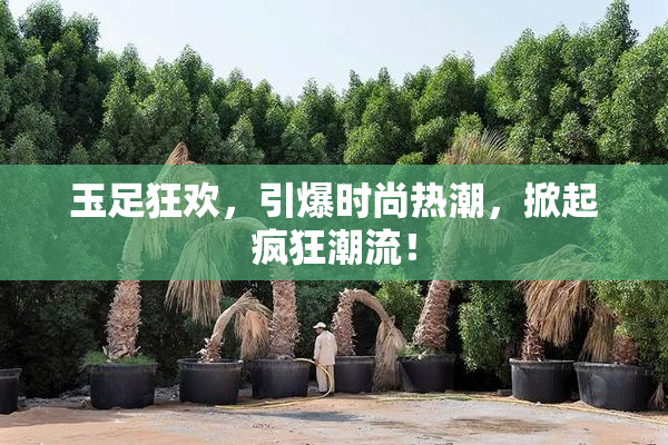 玉足狂欢，引爆时尚热潮，掀起疯狂潮流！