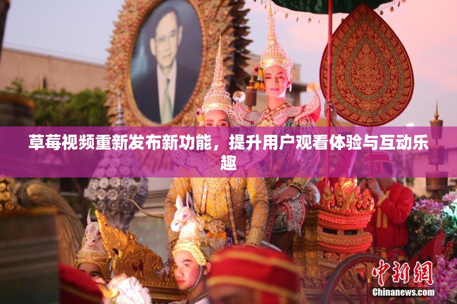 草莓视频重新发布新功能，提升用户观看体验与互动乐趣