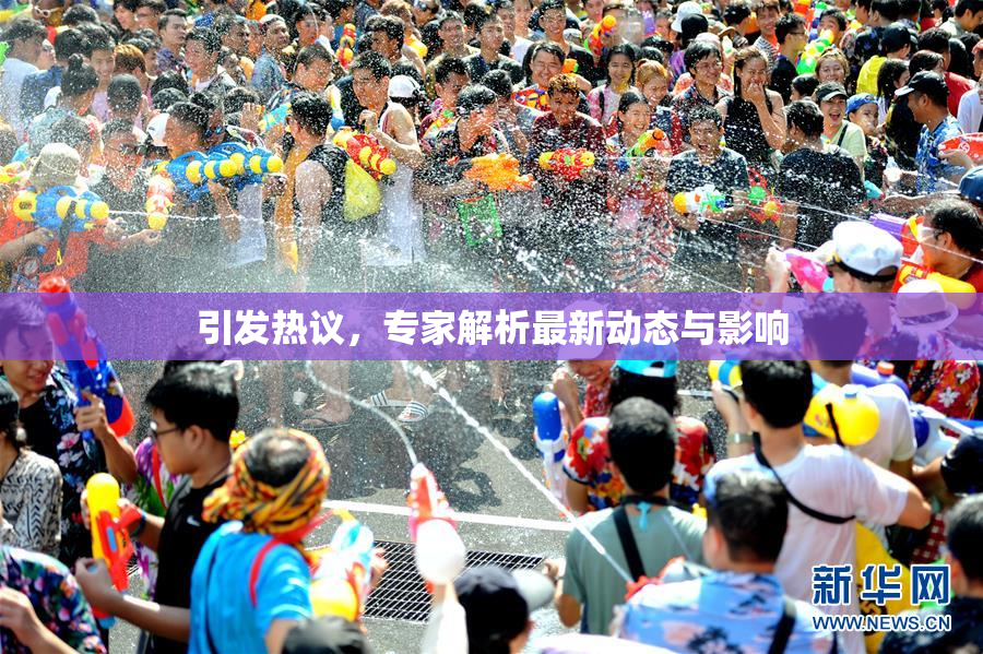 引发热议，专家解析最新动态与影响