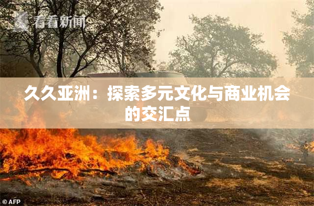 久久亚洲：探索多元文化与商业机会的交汇点