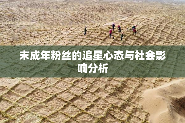 末成年粉丝的追星心态与社会影响分析
