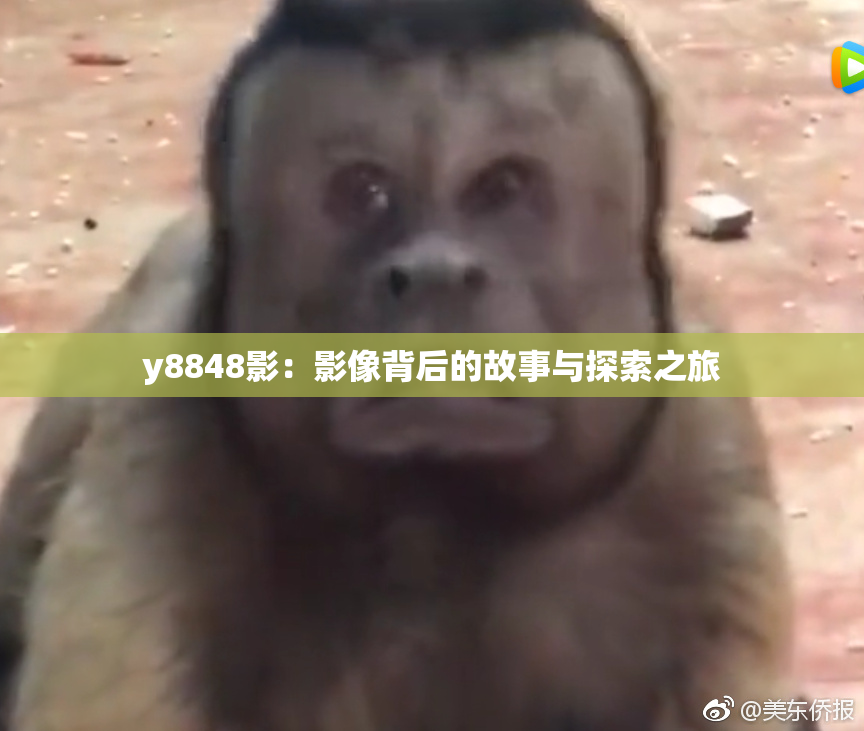 y8848影：影像背后的故事与探索之旅