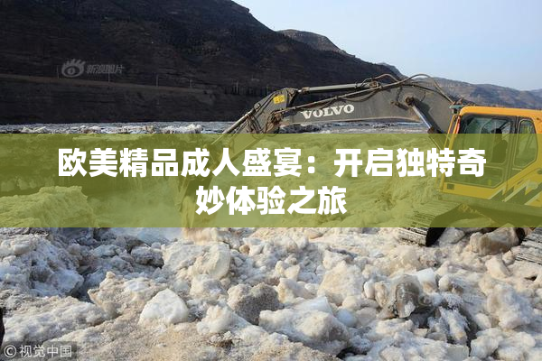 欧美精品成人盛宴：开启独特奇妙体验之旅