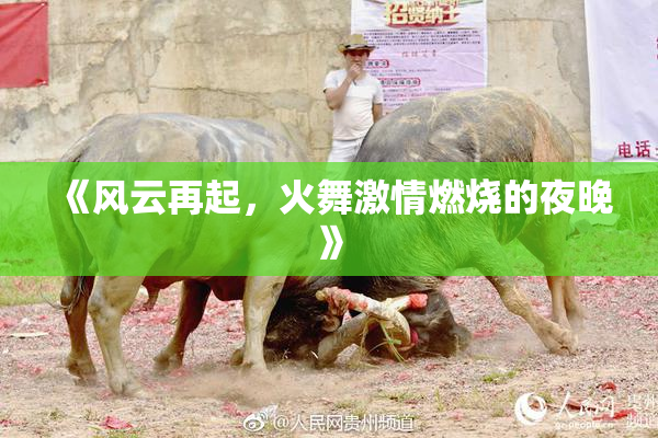 《风云再起，火舞激情燃烧的夜晚》