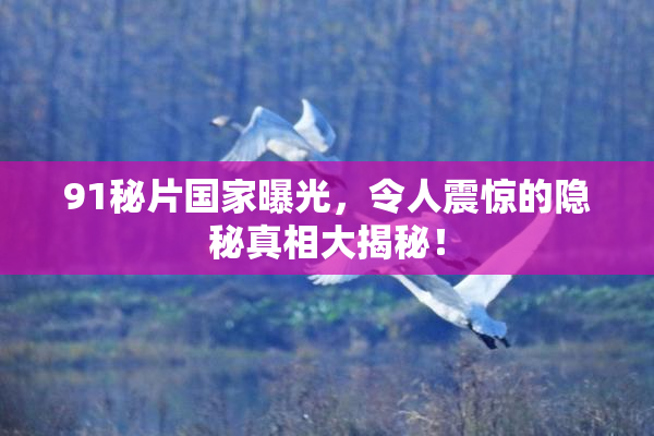 91秘片国家曝光，令人震惊的隐秘真相大揭秘！