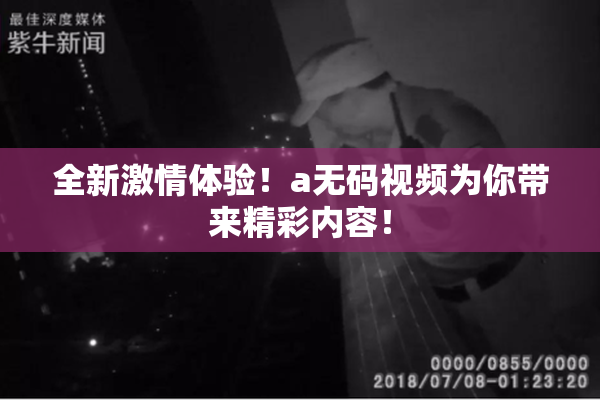 全新激情体验！a无码视频为你带来精彩内容！