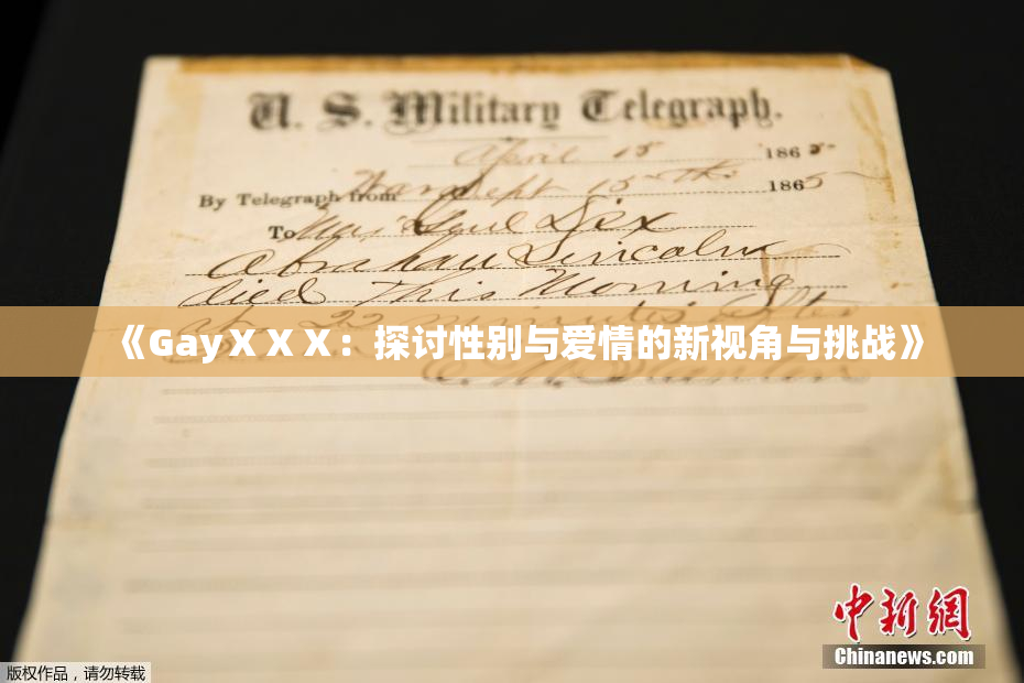《GayⅩⅩⅩ：探讨性别与爱情的新视角与挑战》