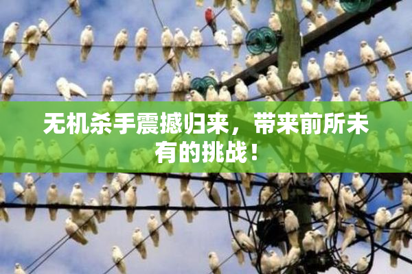无机杀手震撼归来，带来前所未有的挑战！