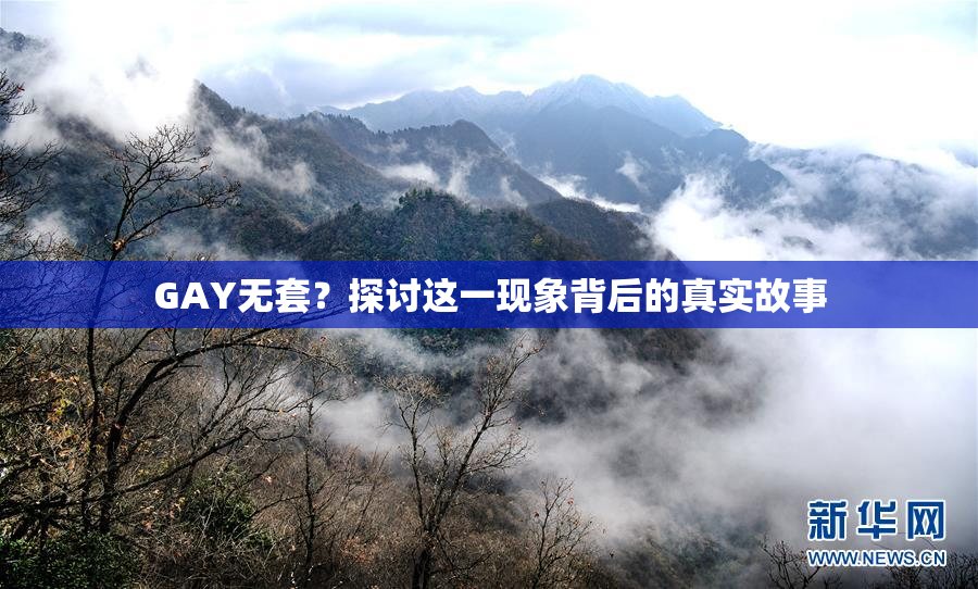 GAY无套？探讨这一现象背后的真实故事