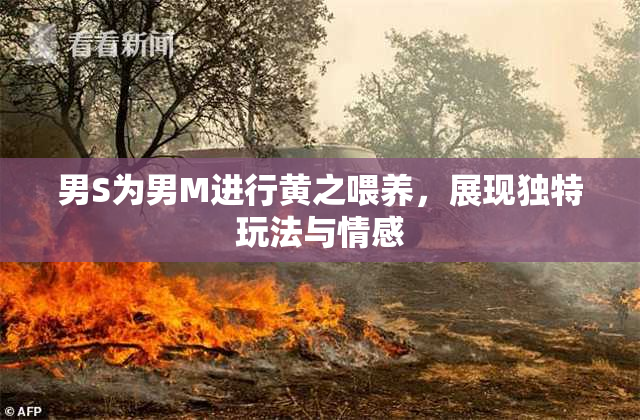 男S为男M进行黄之喂养，展现独特玩法与情感