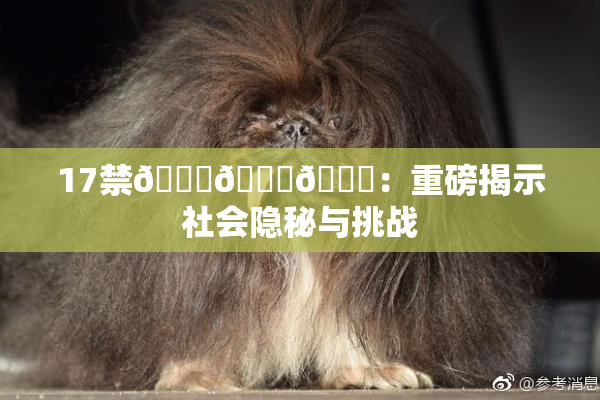 17禁🍆🍑🔞：重磅揭示社会隐秘与挑战
