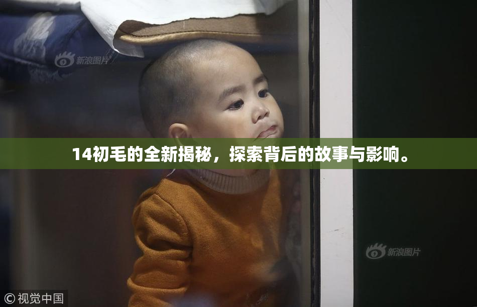 14初毛的全新揭秘，探索背后的故事与影响。