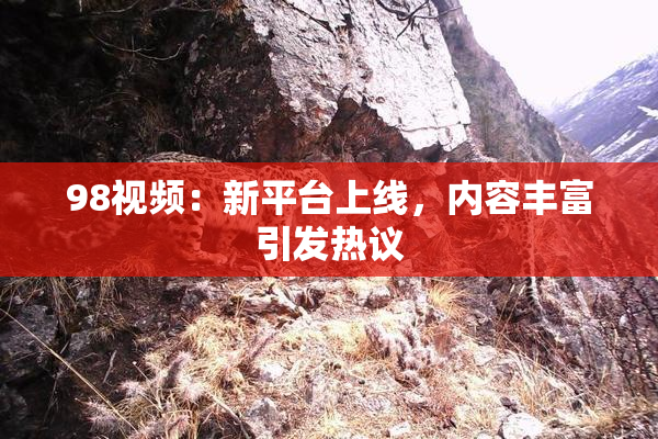 98视频：新平台上线，内容丰富引发热议
