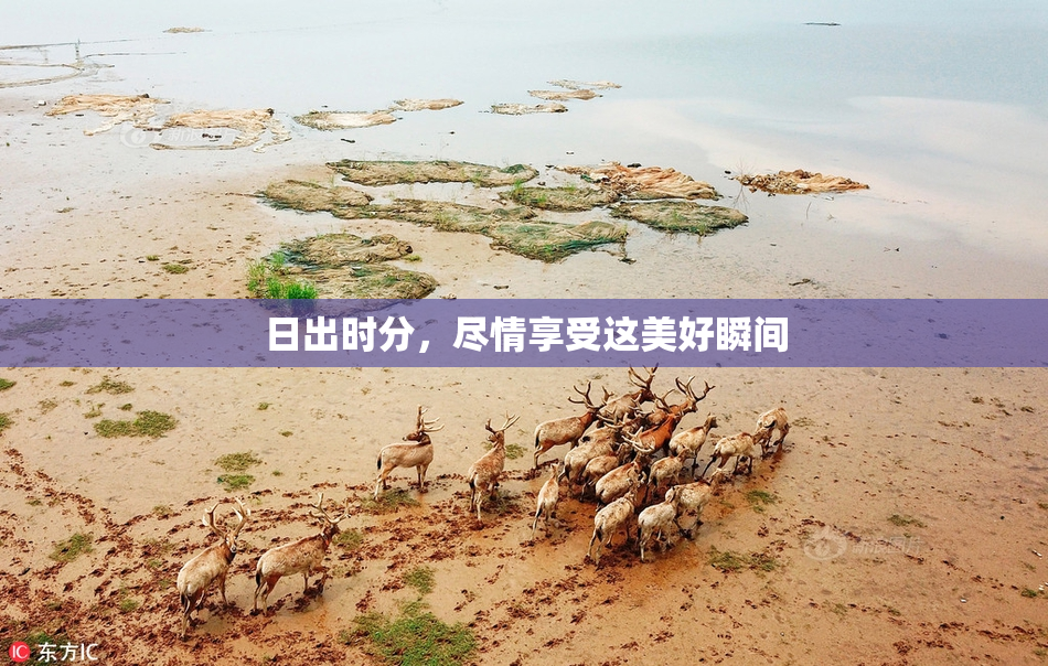 日出时分，尽情享受这美好瞬间