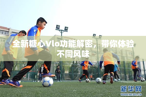 全新糖心Vlo功能解密，带你体验不同风味