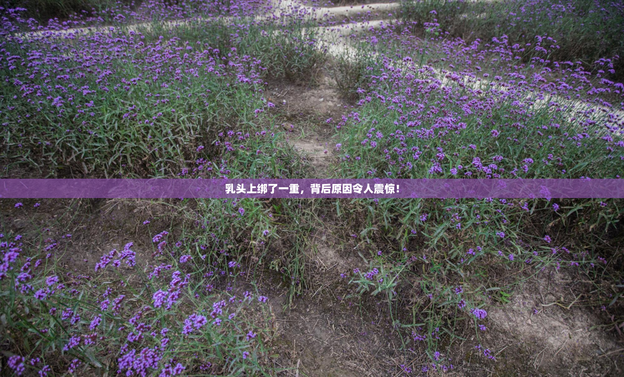 乳头上绑了一重，背后原因令人震惊！