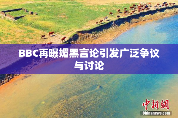 BBC再曝媚黑言论引发广泛争议与讨论
