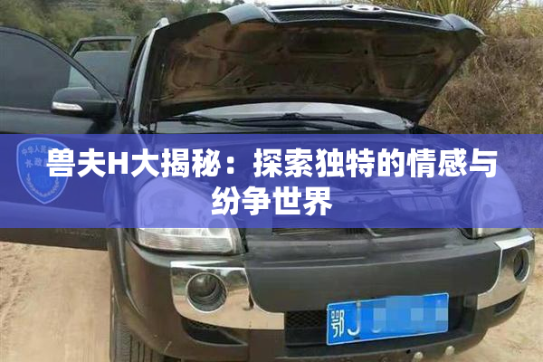 兽夫H大揭秘：探索独特的情感与纷争世界