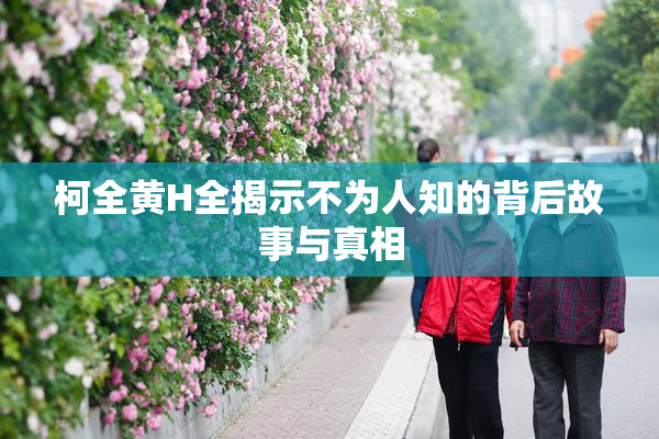 柯全黄H全揭示不为人知的背后故事与真相