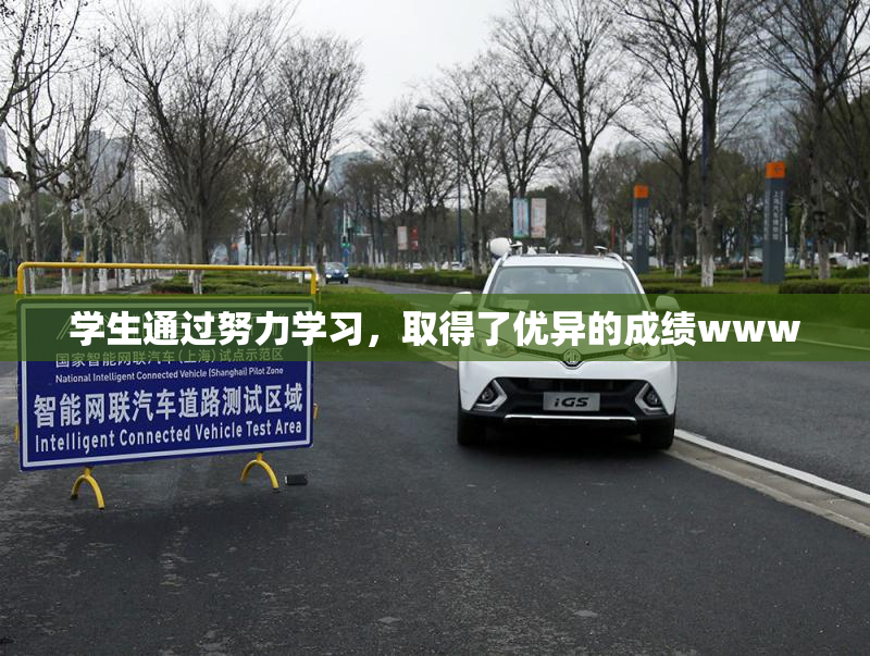 学生通过努力学习，取得了优异的成绩www